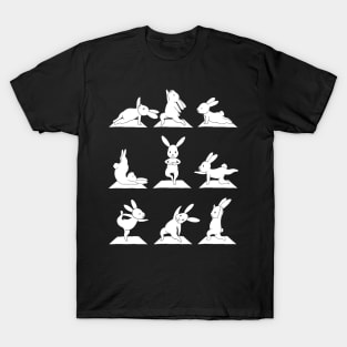 Bunny Yoga T-Shirt Funny Rabbits In Yoga Poses Sports T-Shirt